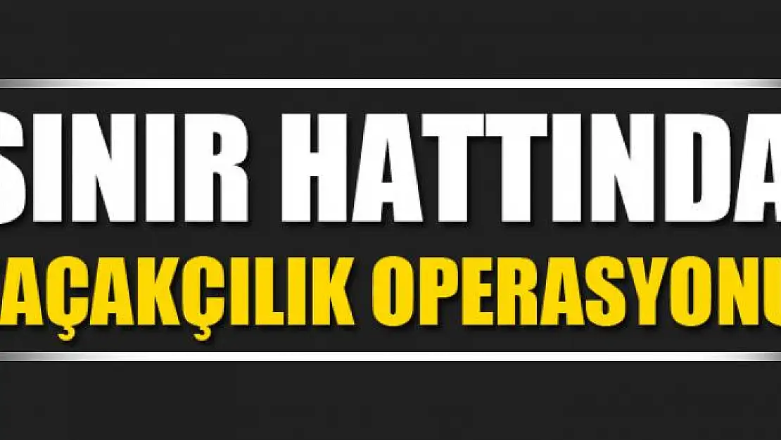 Sınır hattında kaçakçılık operasyonu