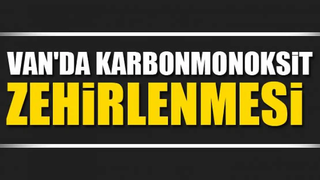 Van'da karbonmonoksit zehirlenmesi 