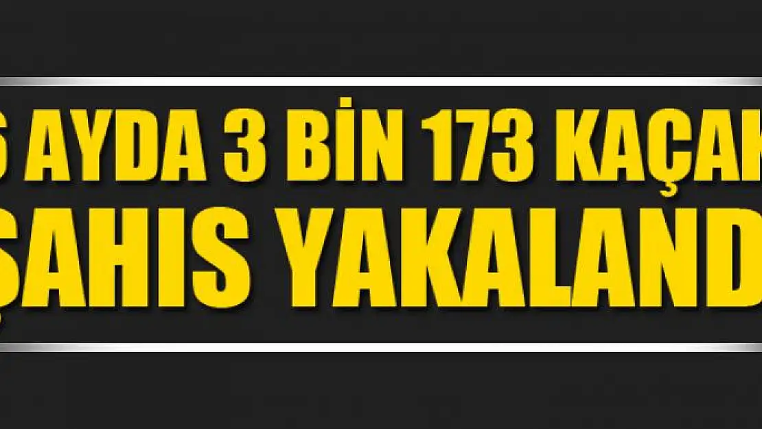 Van'da 6 ayda 3 bin 173 kaçak şahıs yakalandı