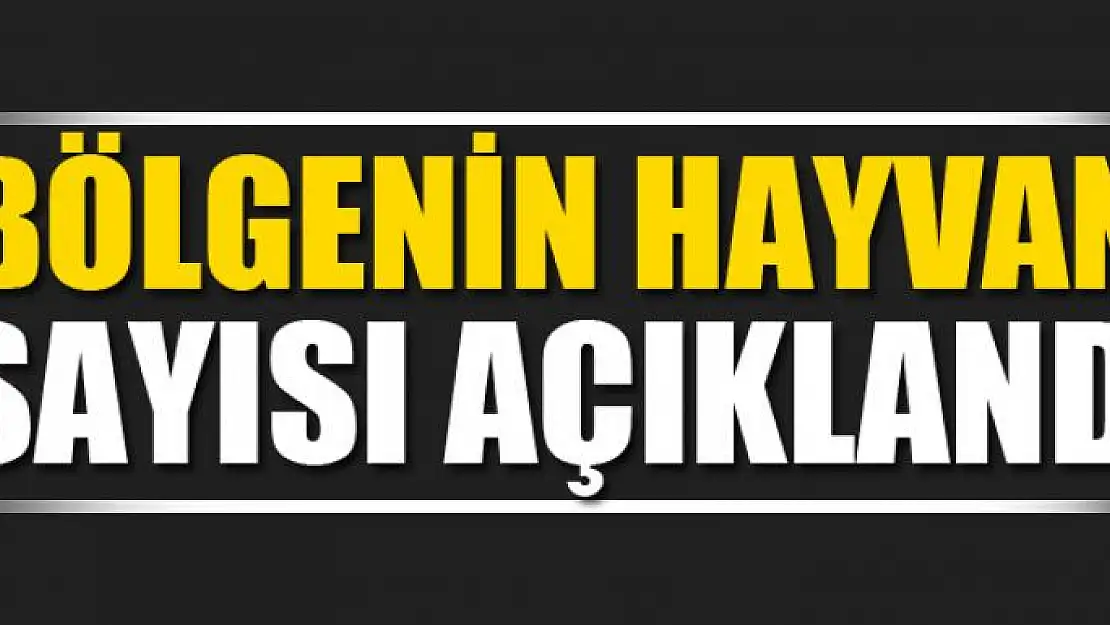 Bölgenin hayvan sayısı açıklandı