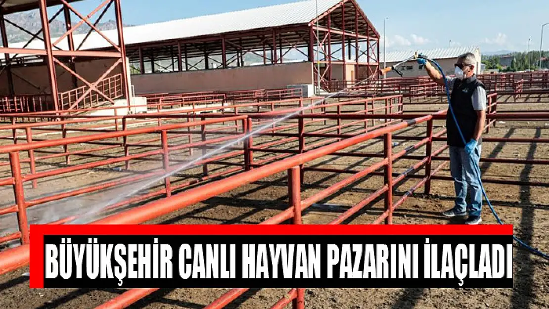 Büyükşehir canlı hayvan pazarını ilaçladı