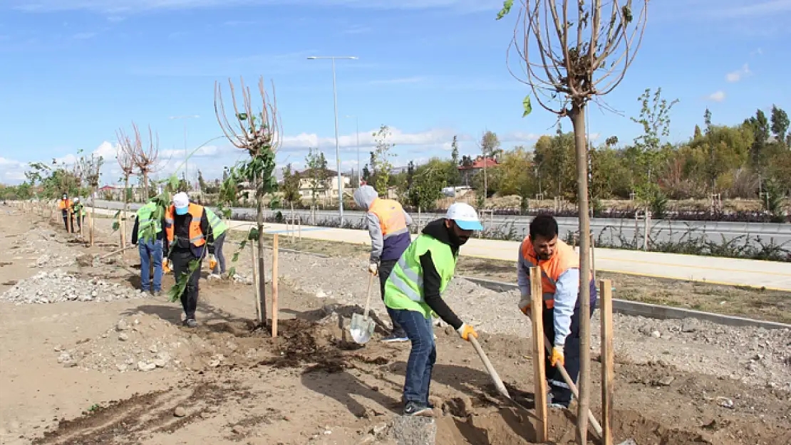 Büyükşehir'den yeşillendirme çalışması