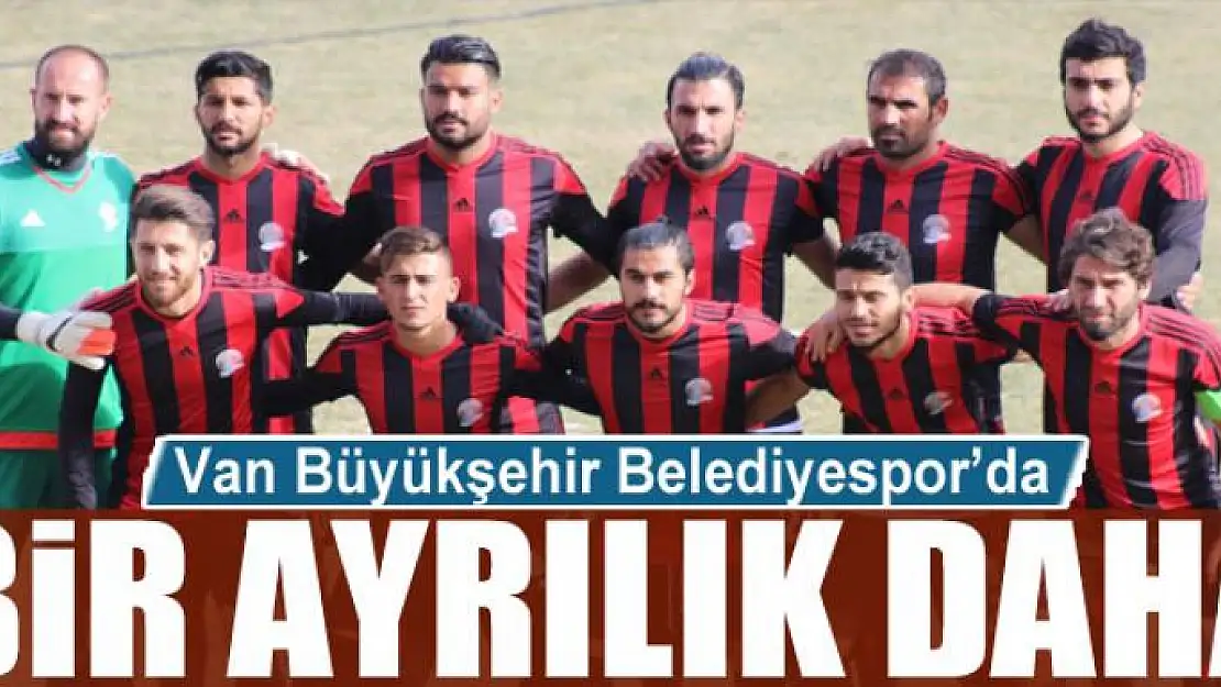 Van Büyükşehir Belediyespor'da bir ayrılık daha