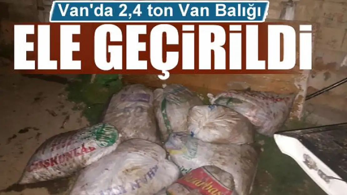 Van'da 2,4 ton Van Balığı ele geçirildi 