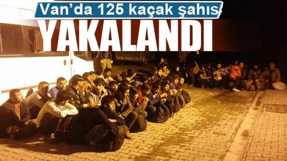 Van'da 125 kaçak şahıs yakalandı