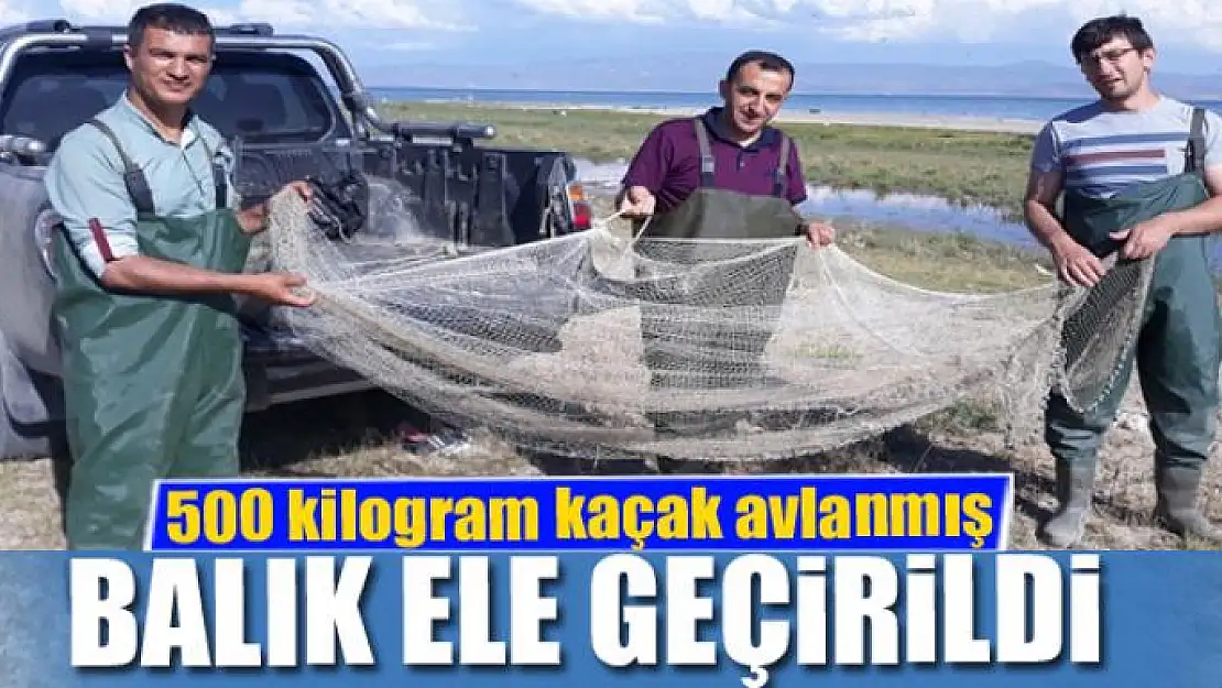 Van'da 500 kilogram kaçak avlanmış balık ele geçirildi