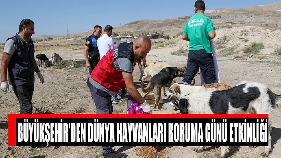 Büyükşehir'den Dünya Hayvanları Koruma Günü etkinliği