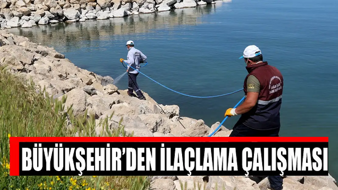 Büyükşehir'den ilaçlama çalışması