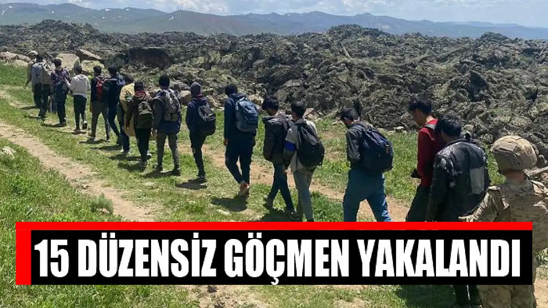 Çaldıran'da 15 düzensiz göçmen yakalandı