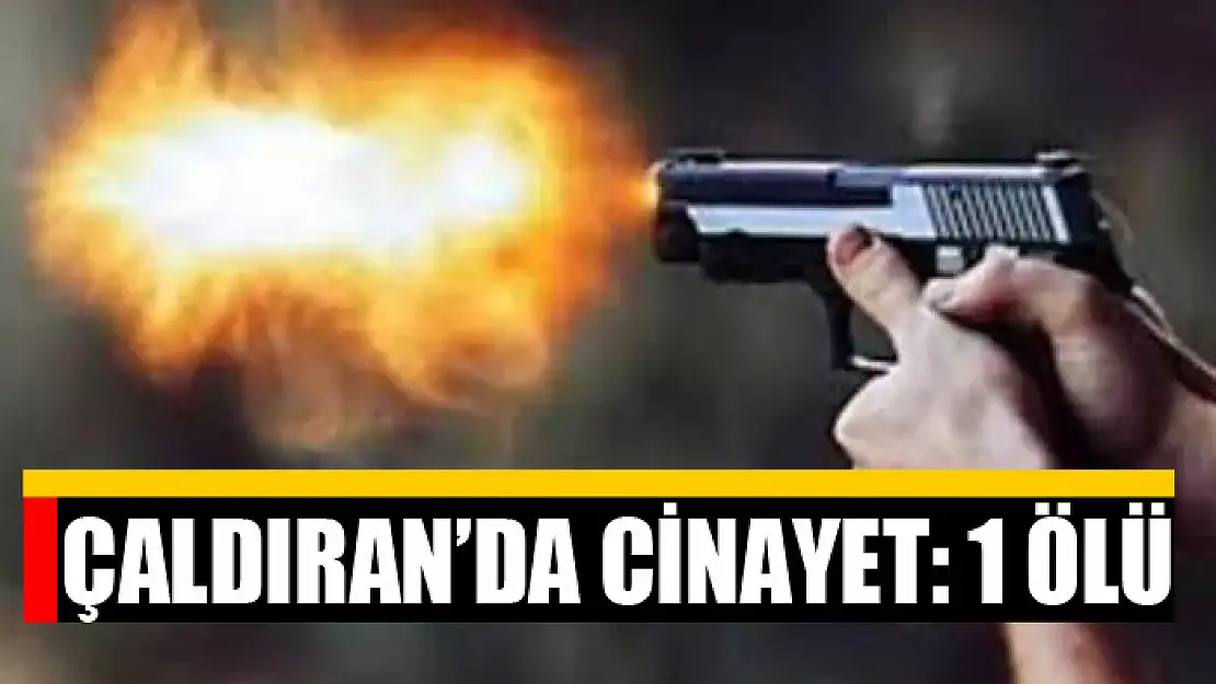 Çaldıran'da cinayet: 1 ölü