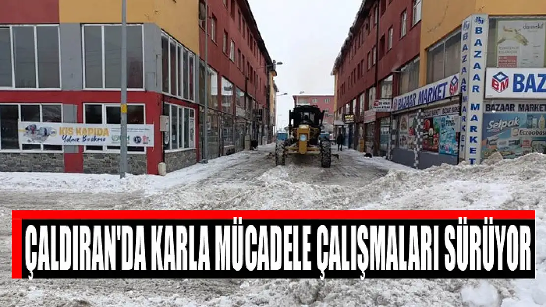 ÇALDIRAN'DA KARLA MÜCADELE ÇALIŞMALARI SÜRÜYOR