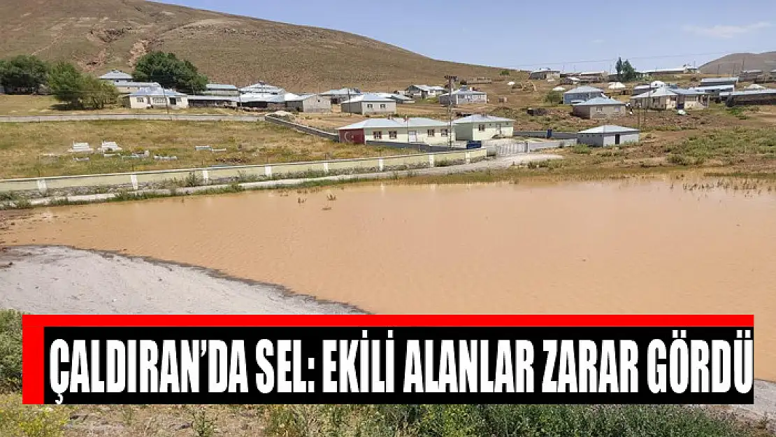 Çaldıran'da sel: Ekili alanlar zarar gördü