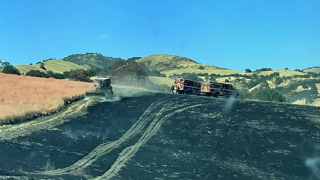 California'da orman yangını: 3 bin 400 hektar alan yandı