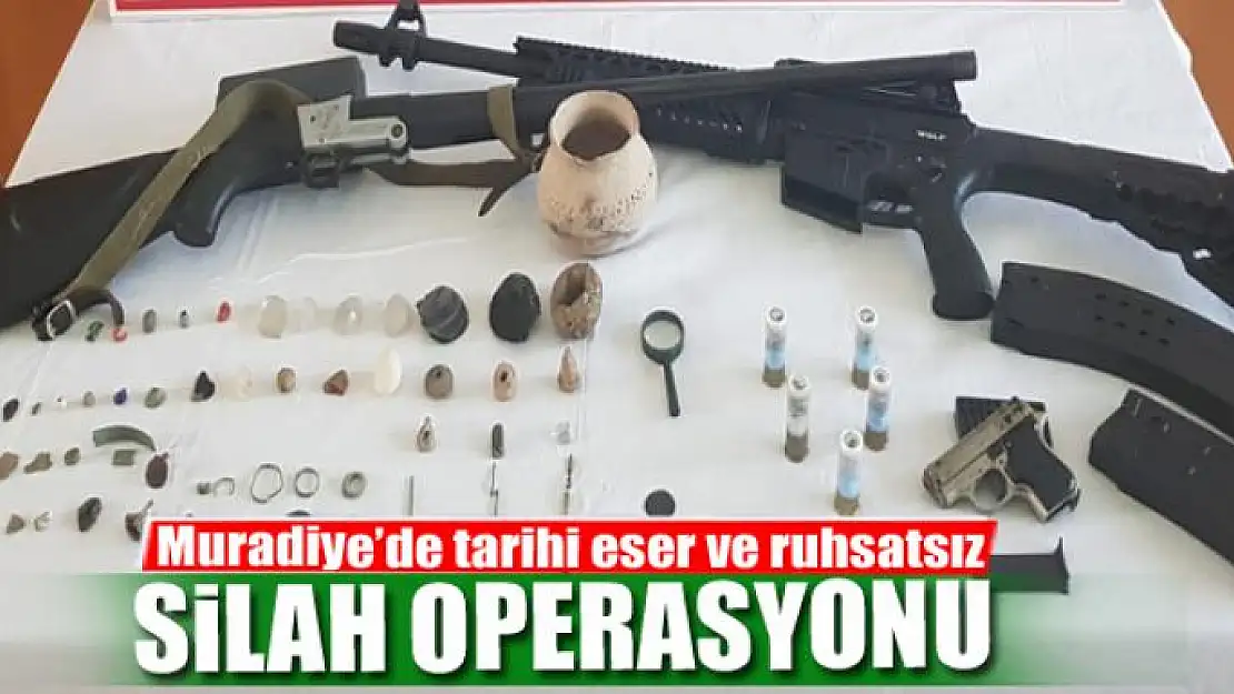 Muradiye'de tarihi eser ve ruhsatsız silah operasyonu