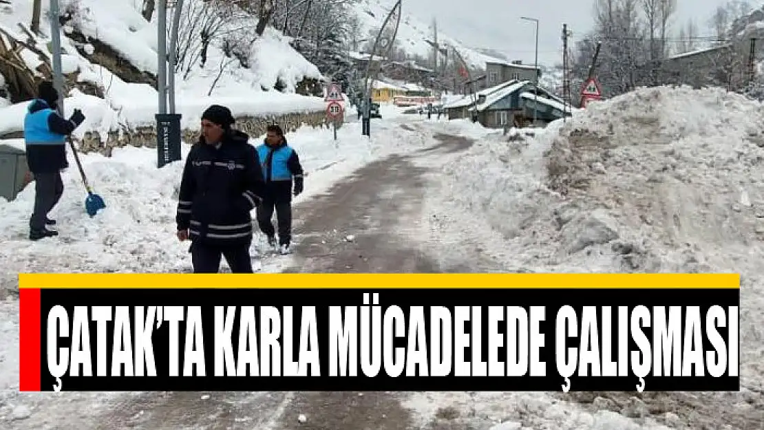 Çatak Belediyesinden karla mücadelede çalışması