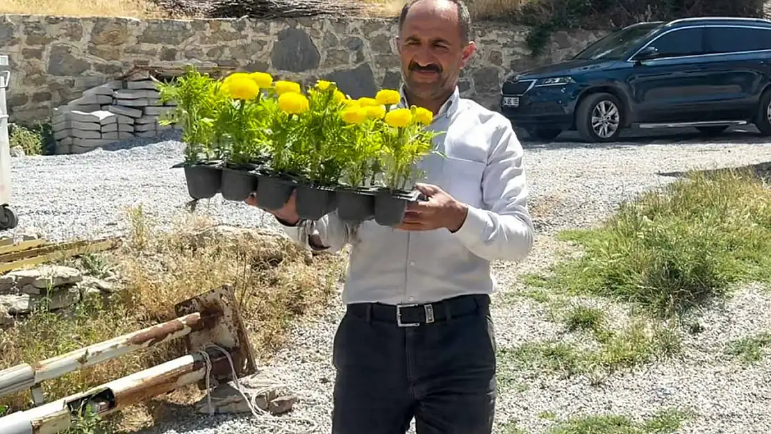 Çatak'ta mevsim çiçekleri ekildi