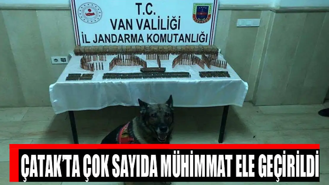 Çatak'ta çok sayıda mühimmat ele geçirildi