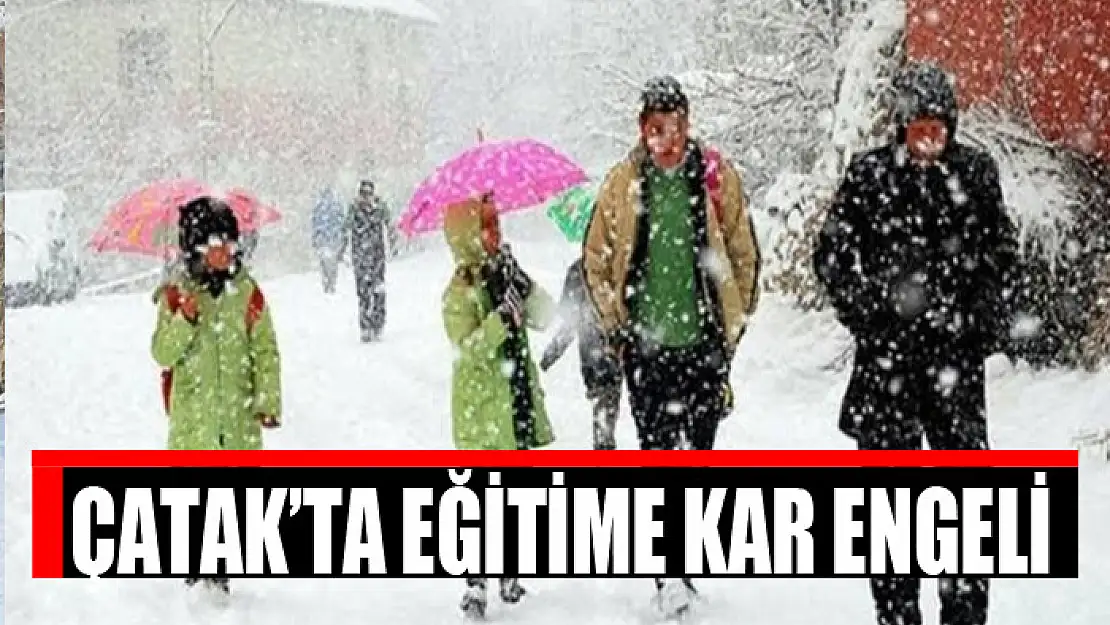 Çatak'ta eğitime kar engeli