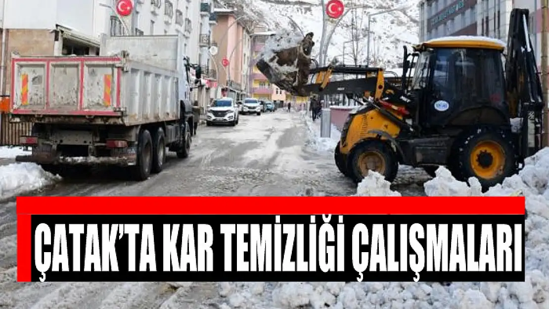 Çatak'ta kar temizliği çalışmaları