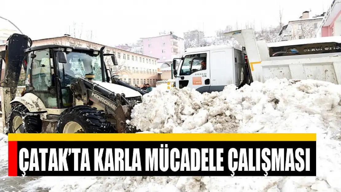 Çatak'ta karla mücadele çalışması