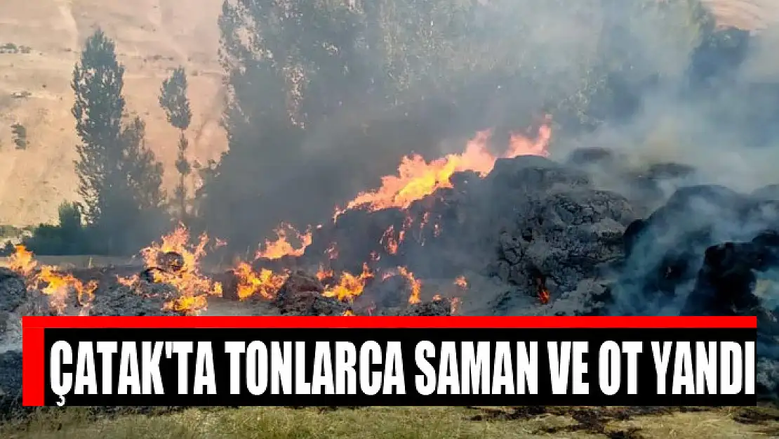 Çatak'ta tonlarca saman ve ot yandı