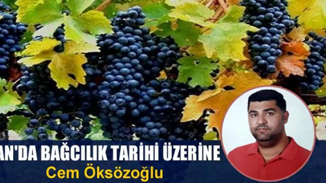 Van'da bağcılık  tarihi üzerine