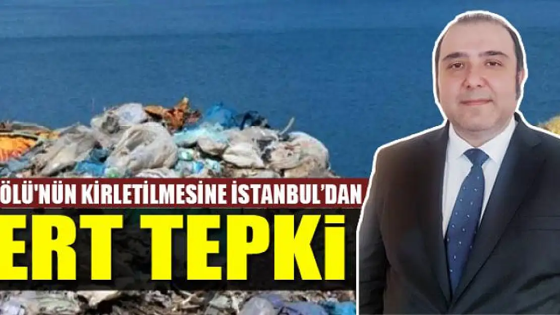 Van Gölü'nün Kirletilmesine İstanbul'dan Tepki