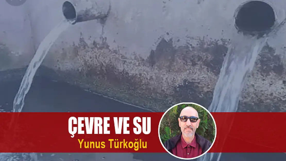 Çevre ve Su