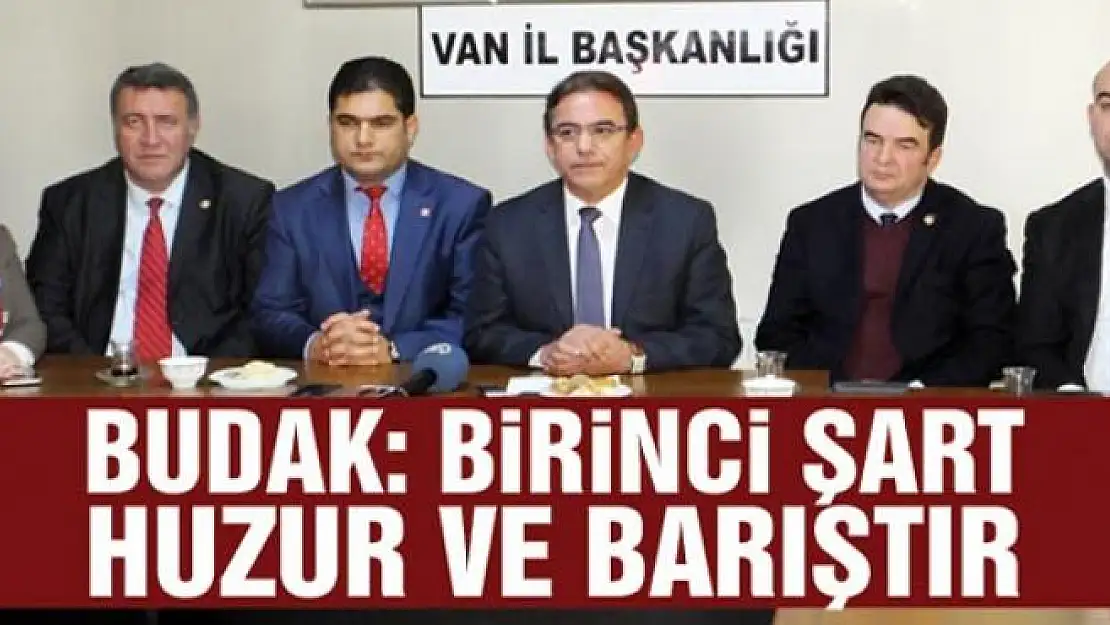 CHP Genel Başkan Yardımcısı Budak: Birinci şart huzur ve barıştır