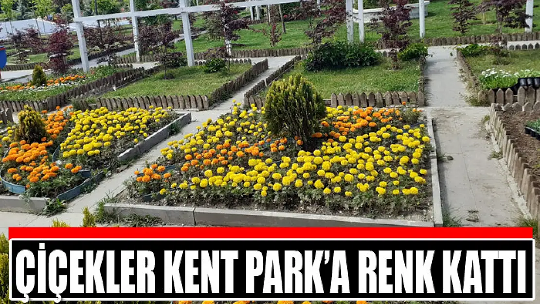 Çiçekler kent park'a renk kattı