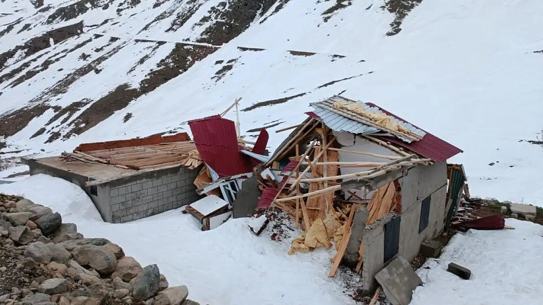 Çığ yayla evlerini yerle bir etti