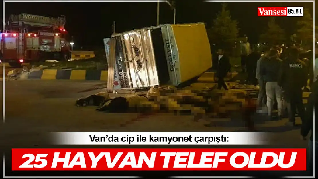 Cip ile kamyonet çarpıştı: 25 hayvan telef oldu