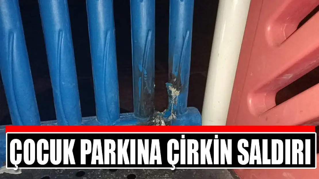 Çocuk parkına çirkin saldırı