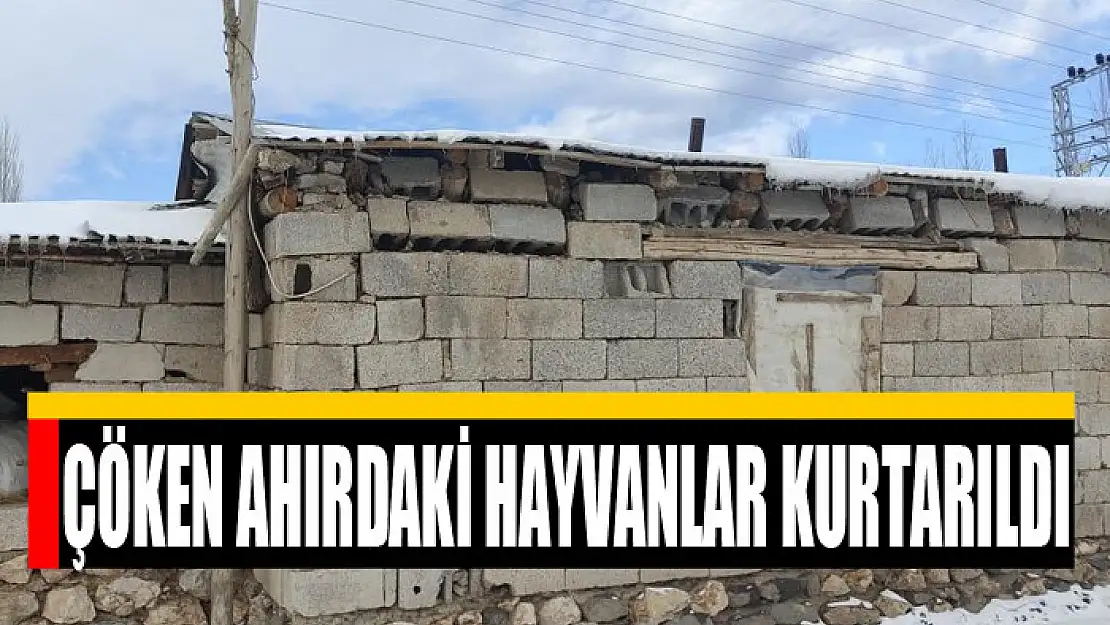 Çöken ahırdaki hayvanlar kurtarıldı