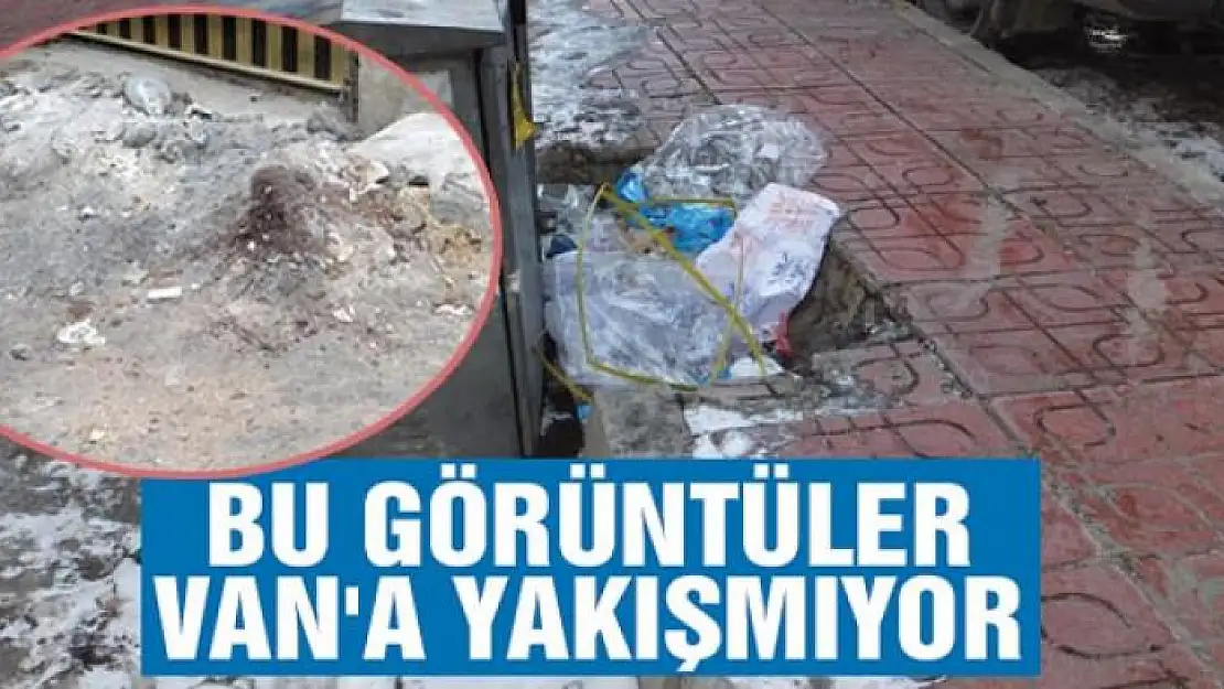 BU GÖRÜNTÜLER VAN'A YAKIŞMIYOR