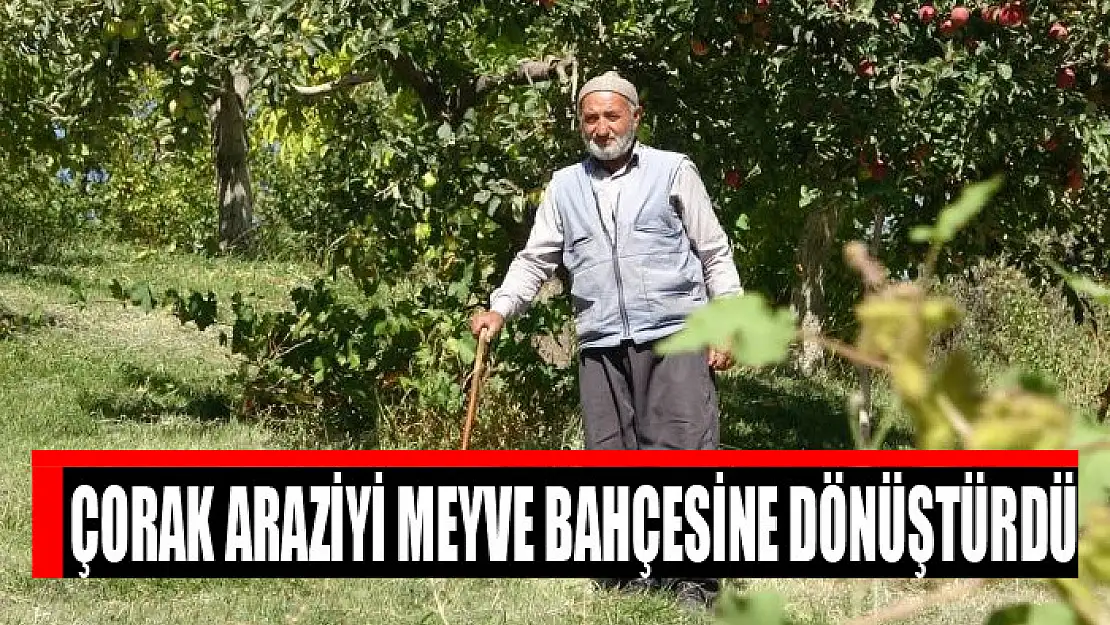 Çorak araziyi meyve bahçesine dönüştürdü