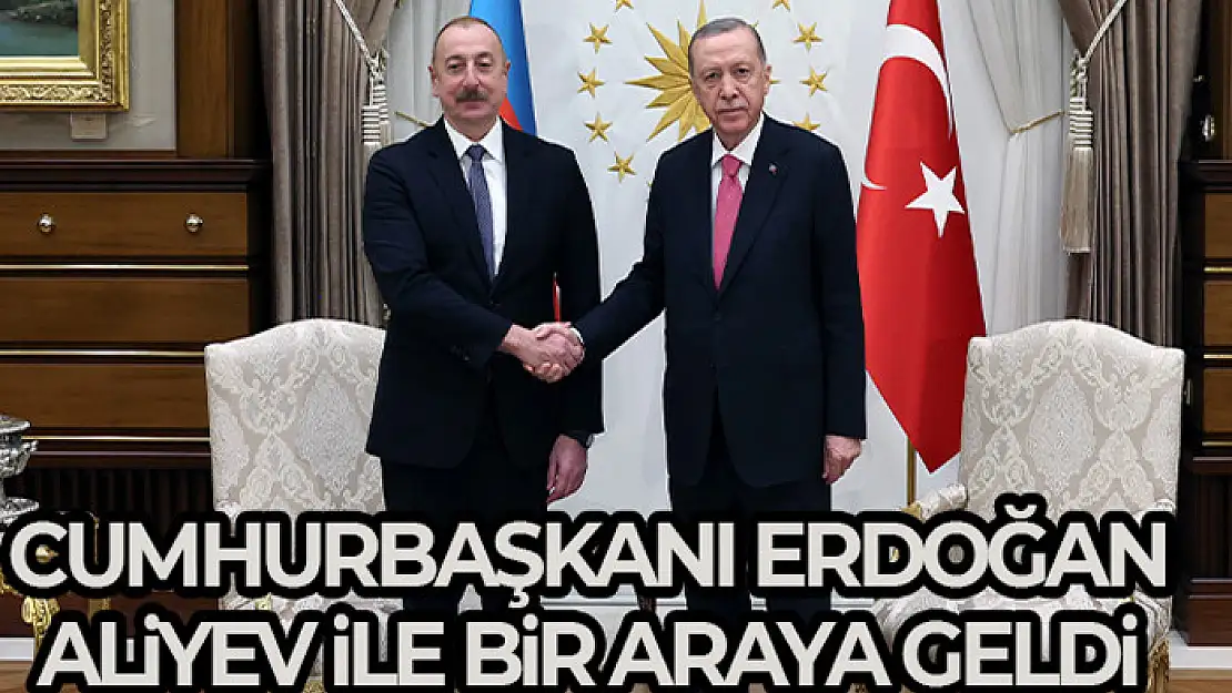 Cumhurbaşkanı Erdoğan, Azerbaycan Cumhurbaşkanı Aliyev ile bir araya geldi