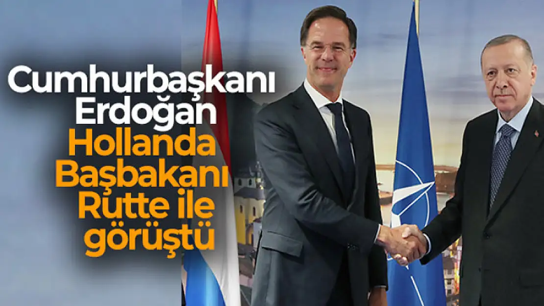 Cumhurbaşkanı Erdoğan, Hollanda Başbakanı Rutte ile görüştü