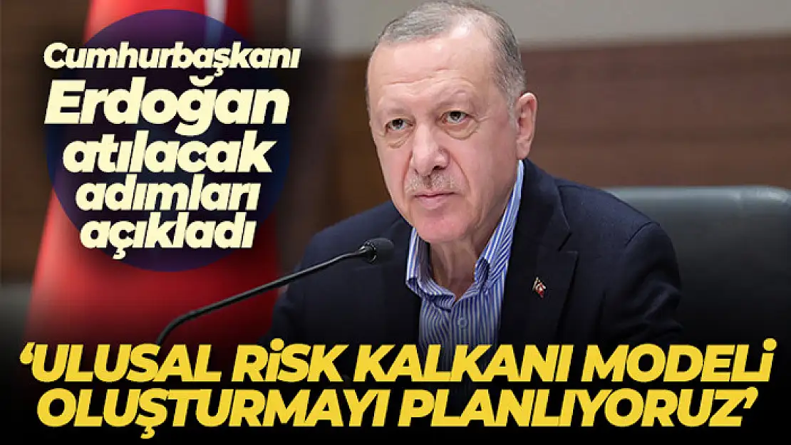 Cumhurbaşkanı Erdoğan: 'Ulusal Risk Kalkanı Modeli oluşturmayı planlıyoruz'