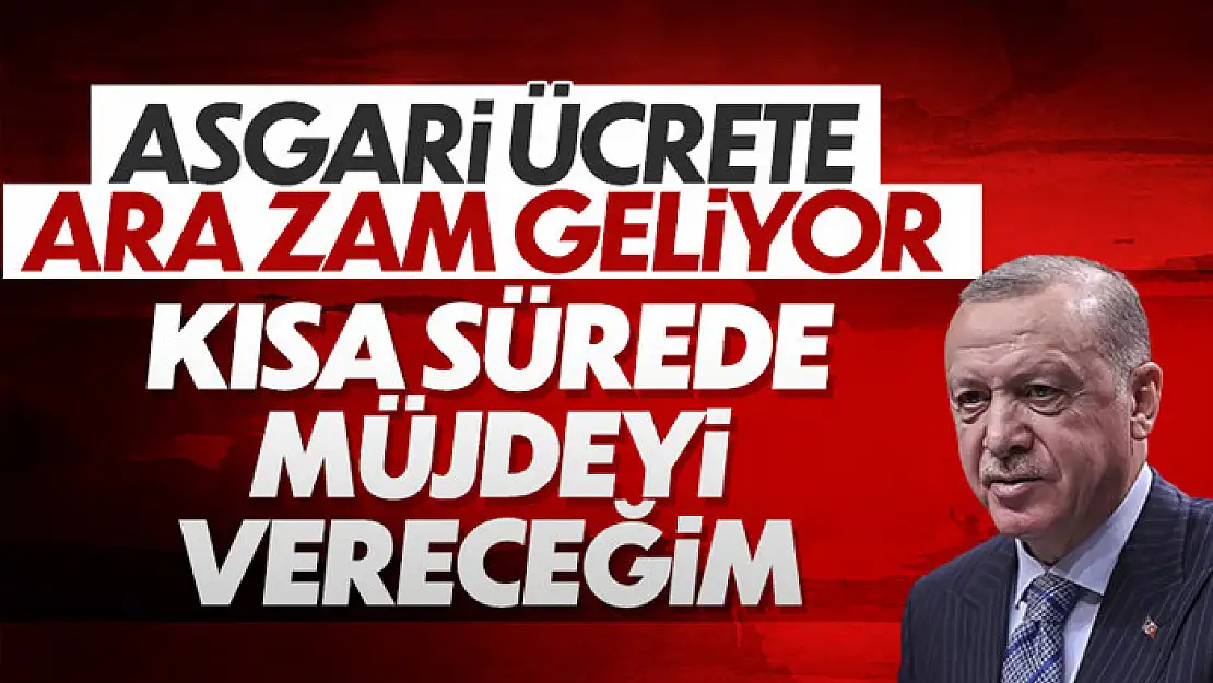 Cumhurbaşkanı Erdoğan'dan asgari ücretle ilgili açıklama