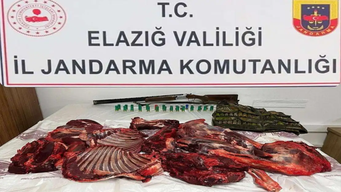 Dağ keçisini avlayan şahsa 650 bin lira ceza kesildi