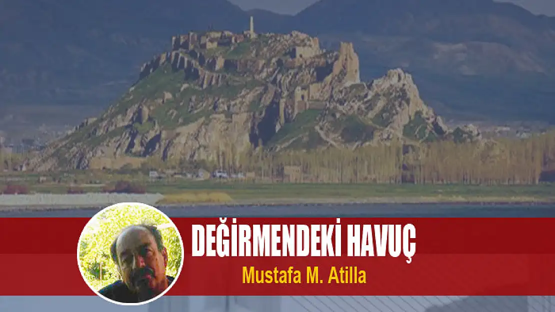 Değirmendeki havuç