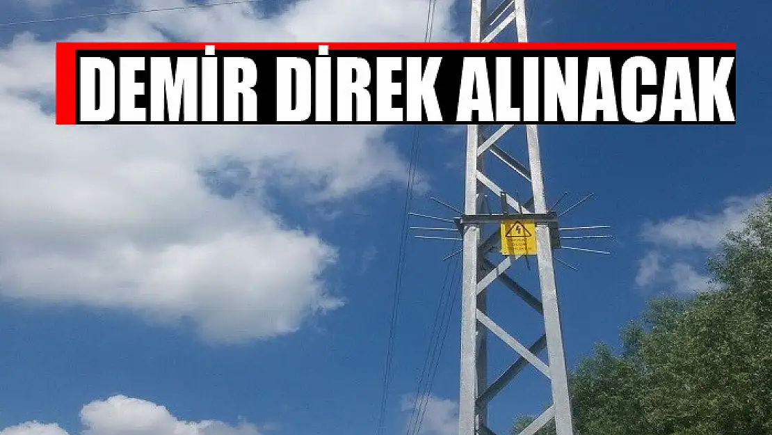 Demir direk alınacak