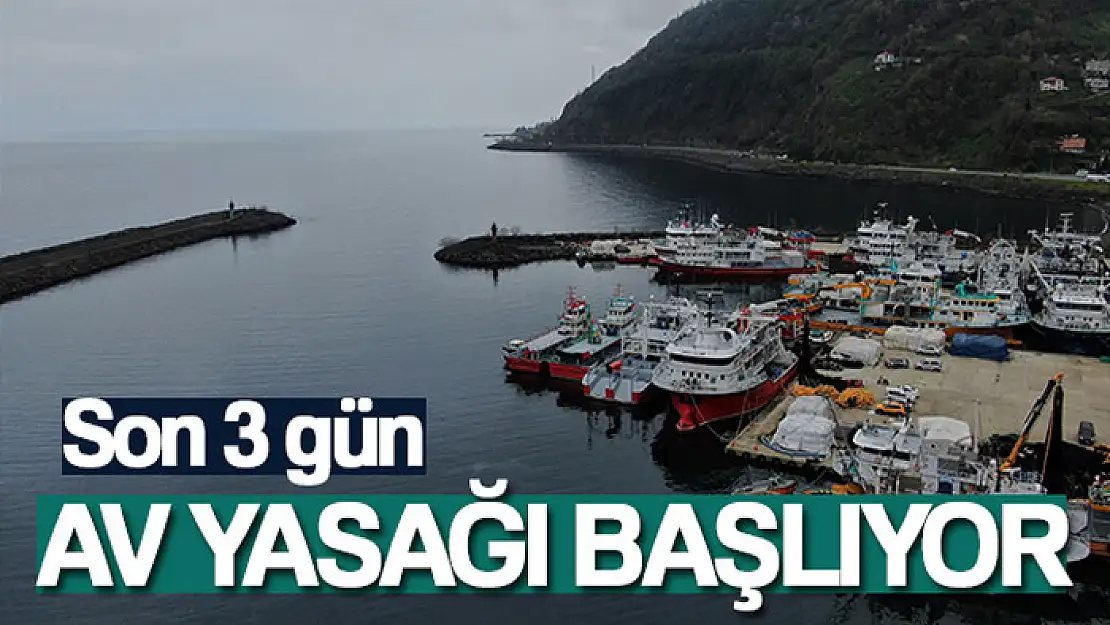 Denizlerde av yasağı 15 Nisan'da başlayacak