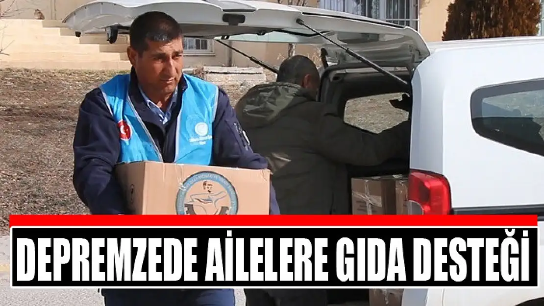 Depremzede ailelere gıda desteği