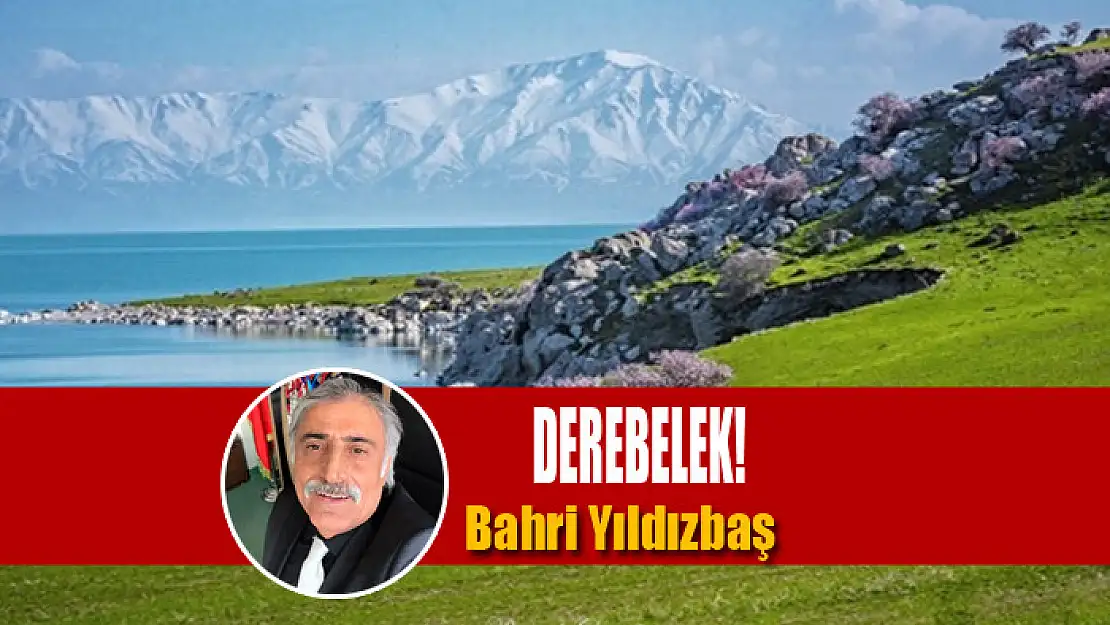 Derebelek!