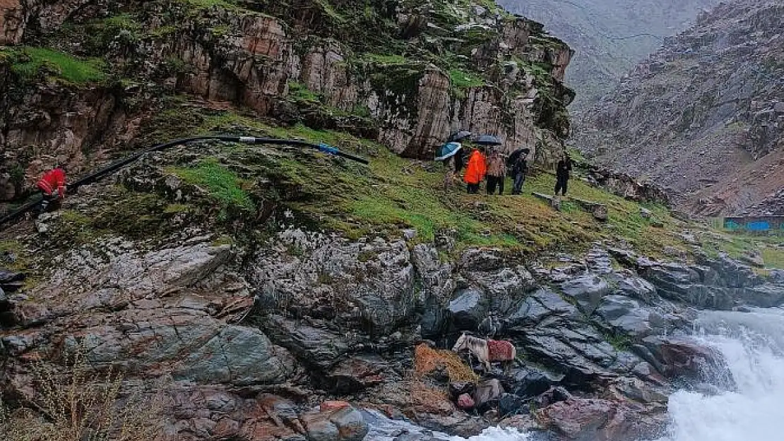 Dereye düşen at kurtarıldı