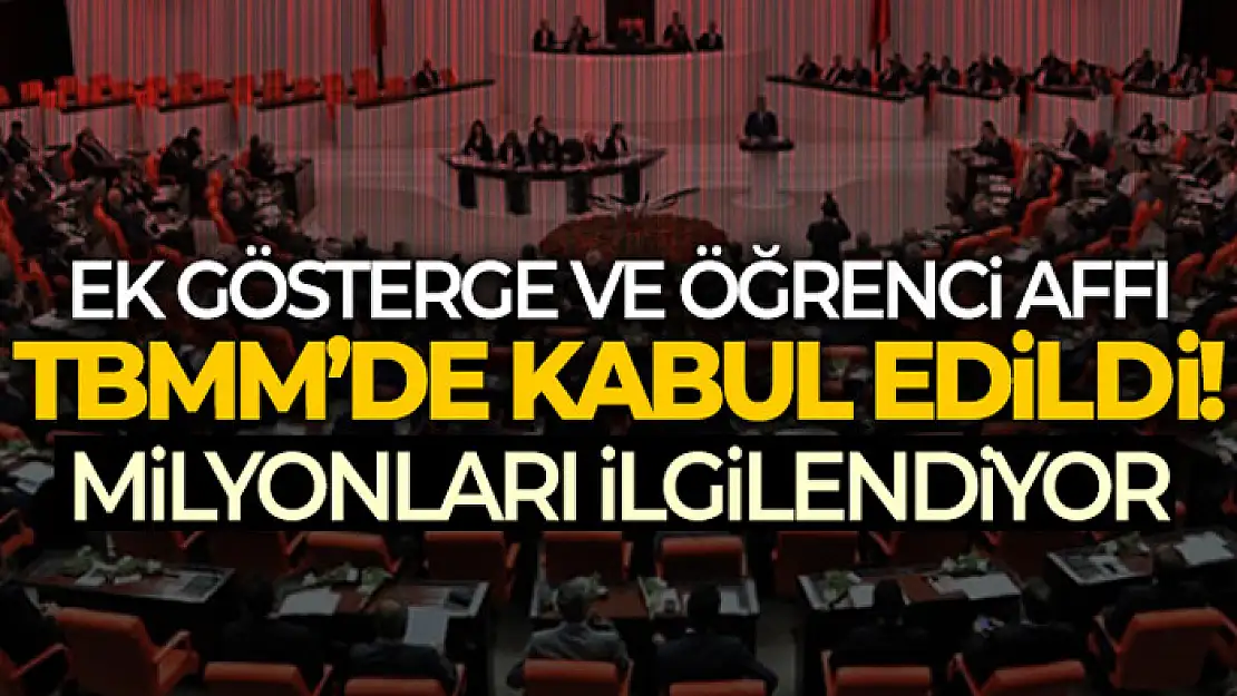 Devlet memurları ile ilgili düzenlemeler, emekli aylıkları gibi konuları içeren teklif TBMM'de kabul edildi