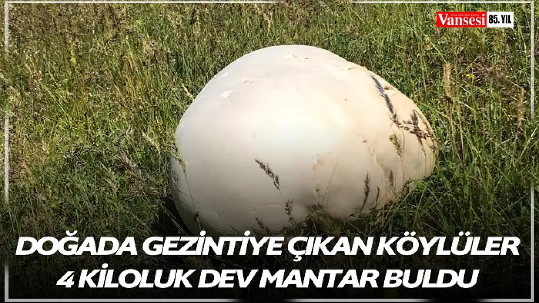 Doğada gezintiye çıkan köylüler 4 kiloluk dev mantar buldu