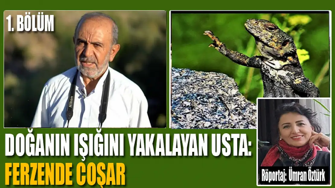 Doğanın Işığını Yakalayan Usta: Ferzende Coşar